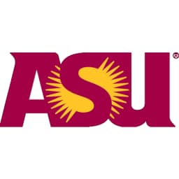 Technology Consultant